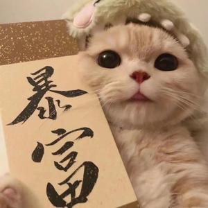 小福猪头像