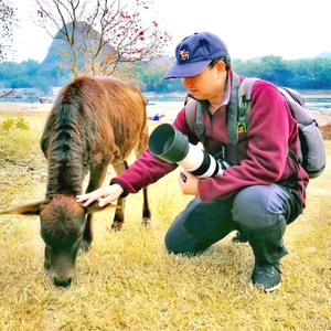 汇雅轩（义参） 头像