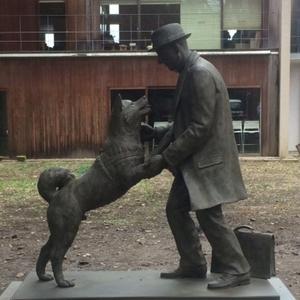 困困困了了了 头像