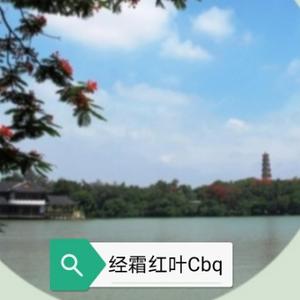 经霜红叶Cbq