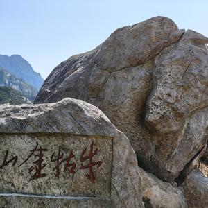 慢生活 头像