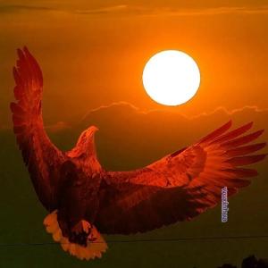 IT技术交流圈 头像