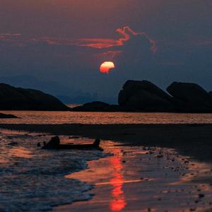 星星梦故事 头像