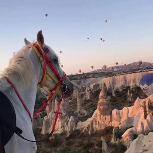 些许风霜罢了 头像