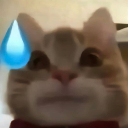 小杜不叫土豆 头像