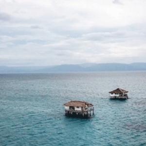 梦想嘉的日常 头像