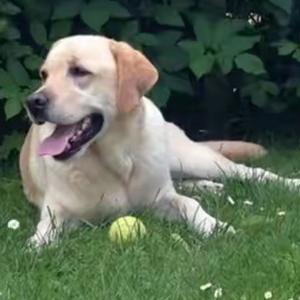 哦哦更多的炒粉干 头像