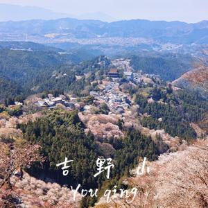 周周的摆摊日记0c8R 头像