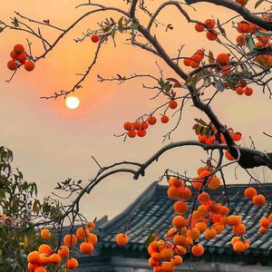 何何说故事 头像