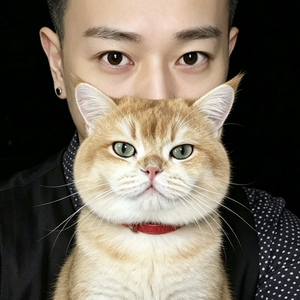 金猫和先生（三角洲行动） 头像
