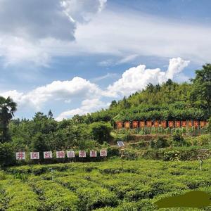 海纳百川有容乃大 头像