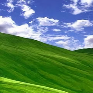 小木312音乐 头像