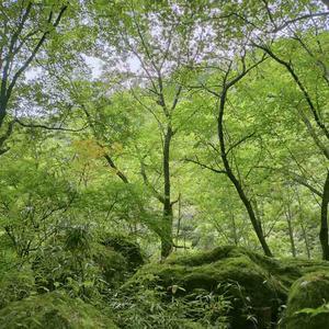上海科研人真实经历 头像