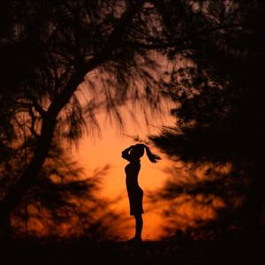 吾乃百晓生 头像