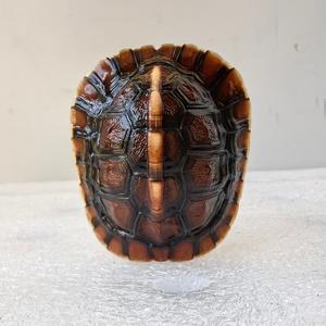 代加工清理乌龟壳 头像