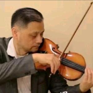 轩昂琴声VIOLIN头像