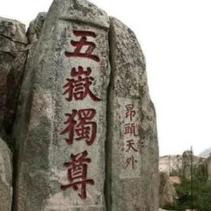 旷世微尘 头像