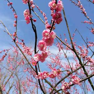 科技与发展 头像