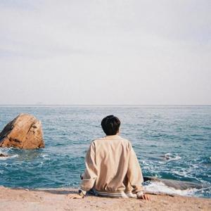 三金拥双贝 头像