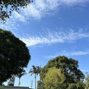 秋澄不是橙 头像