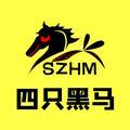 四只黑马 头像