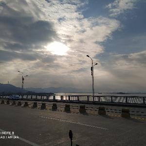 坐海观粉