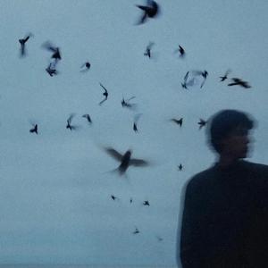 老张情感心语 头像