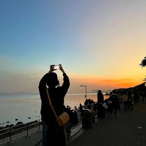 大猫写故事 头像