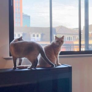 快乐的山丘c 头像