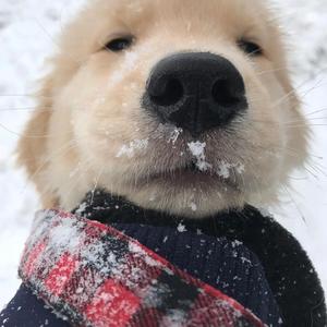 自由飞翔的小男孩 头像