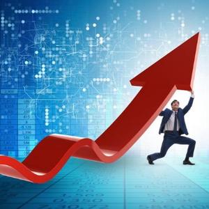 海底捞有大鱼 头像