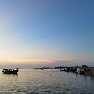 芦苇随风摆 头像