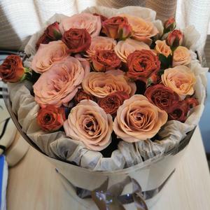 漫行芳草地 头像