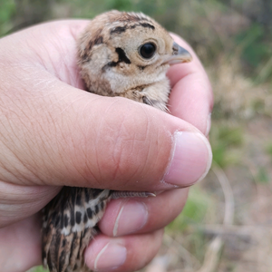 花花笑点了 头像