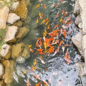 时光里的船 头像