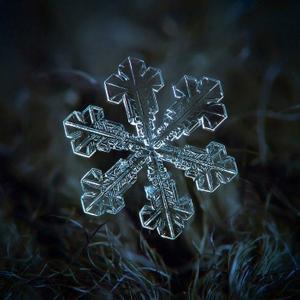 茫茫冬夜雪落无痕头像