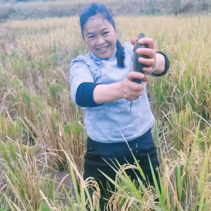 杨八姐的乡村生活头像