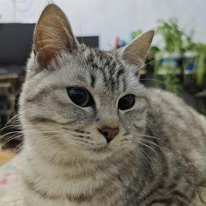 大众视界 头像