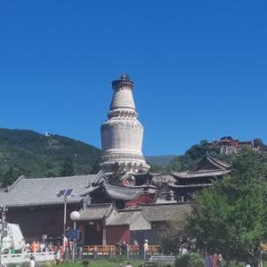 禅茶一味是清欢