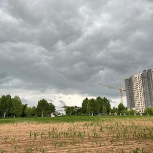 王伯聊闲谈 头像