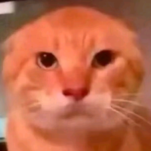 忧郁的企鹅在农村 头像