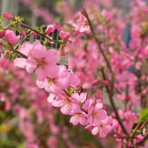 醉美家飨