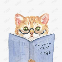 信封里的兔子 头像