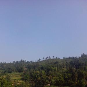 传奇山水