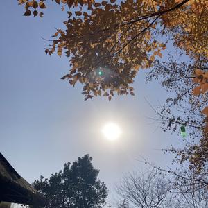 乐天知命故无忧