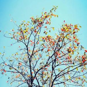 今天天气不错明天继续 头像