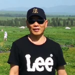 进取黄黄天