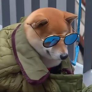 土豆炖粉条 头像