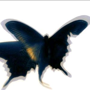 多余艺术家 头像