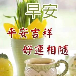 青小草姐头像